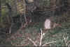 Description : fos_ac_1.jpg (103093 octets)