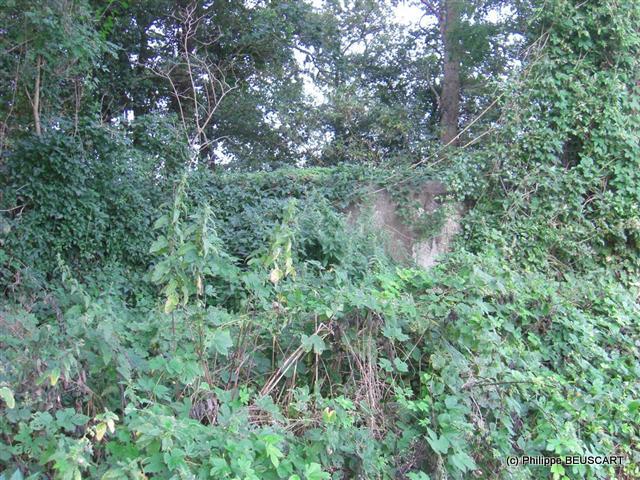 Description : C:\Photos sur C\Ligne Chauvineau\lignechauvineau\images\foto12a_6.jpg