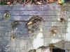 Description : foto21ter_3.jpg (122082 octets)