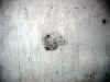 Description : foto21ter_6.jpg (71473 octets)